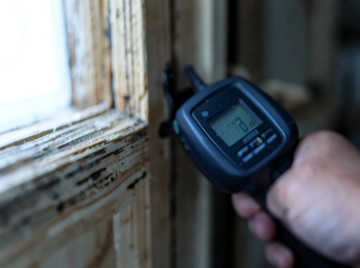 Moisture Inspection And Documentation in Moville, IA
